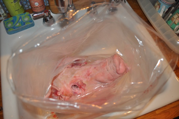 We don't have a pot big enough to brine her in, so we put her in a bag...