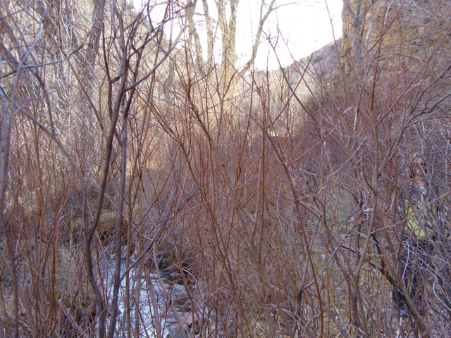 Hiker in the Chimay&oacute; valley