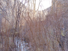 Hiker in the Chimay&oacute; valley